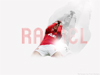 Rafael da Silva