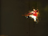 Wayne Rooney