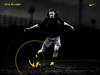 Torsten Frings