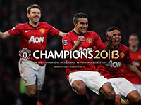 Robin van Persie Celebrates
